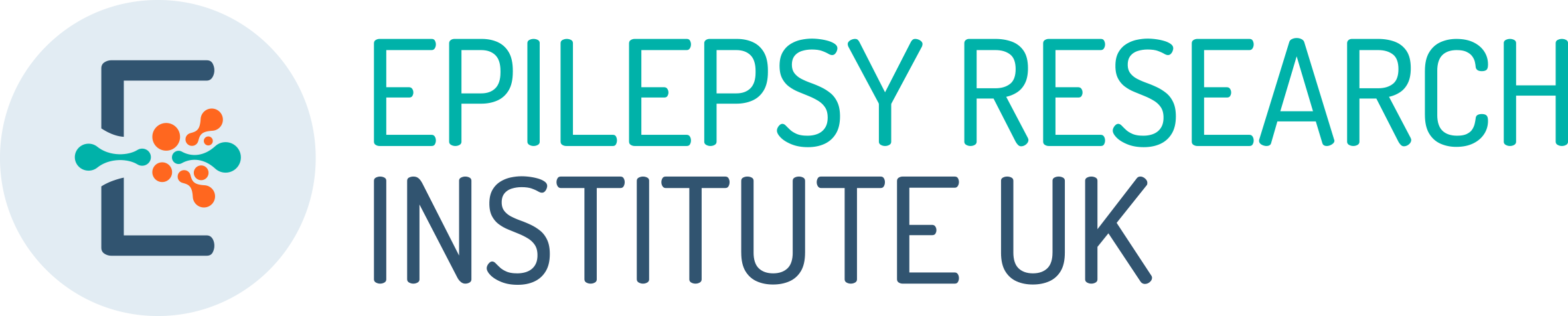 The Epilepsy Research Institute